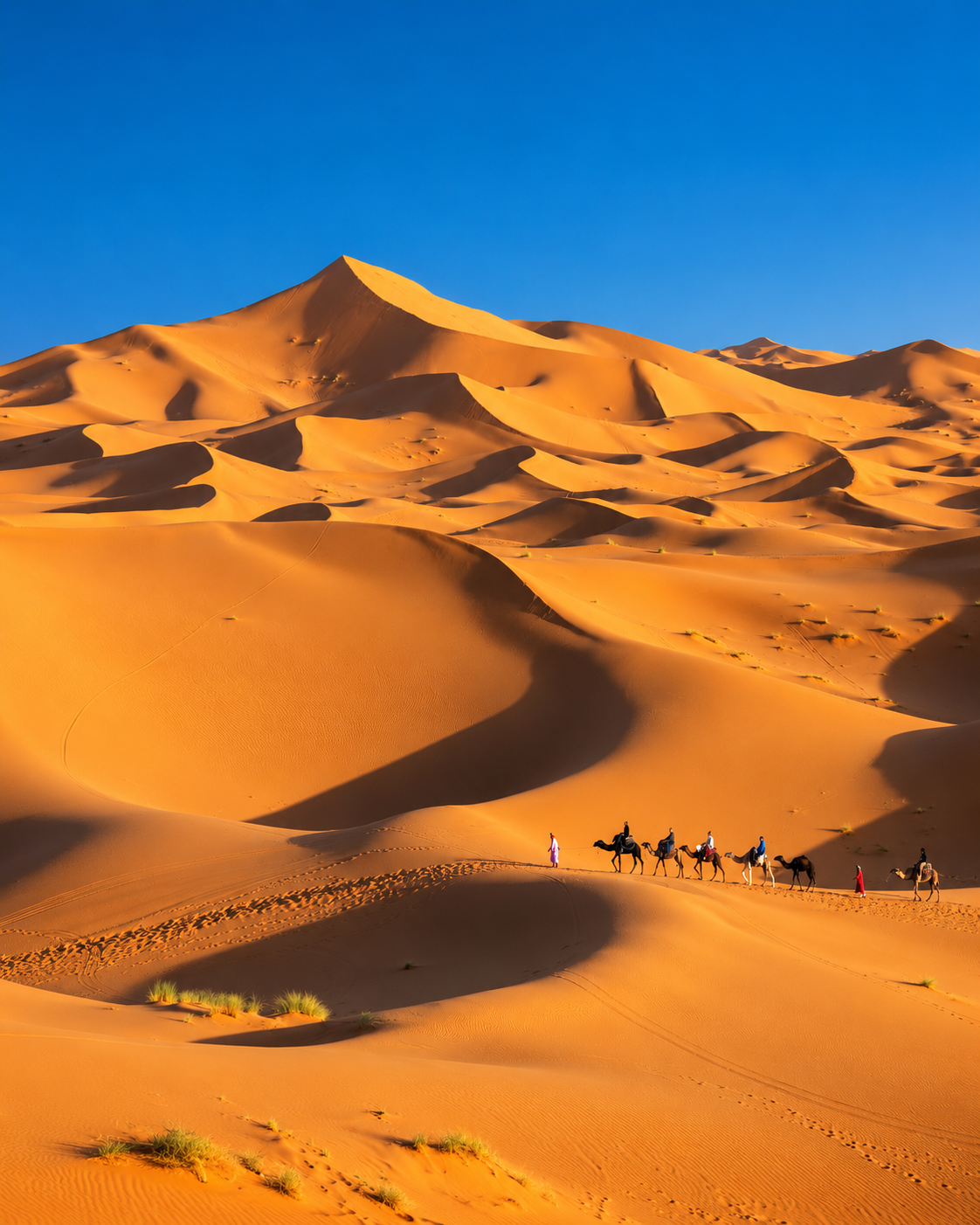 Camel caravan crossing the Erg Chebbi dunes near Merzouga