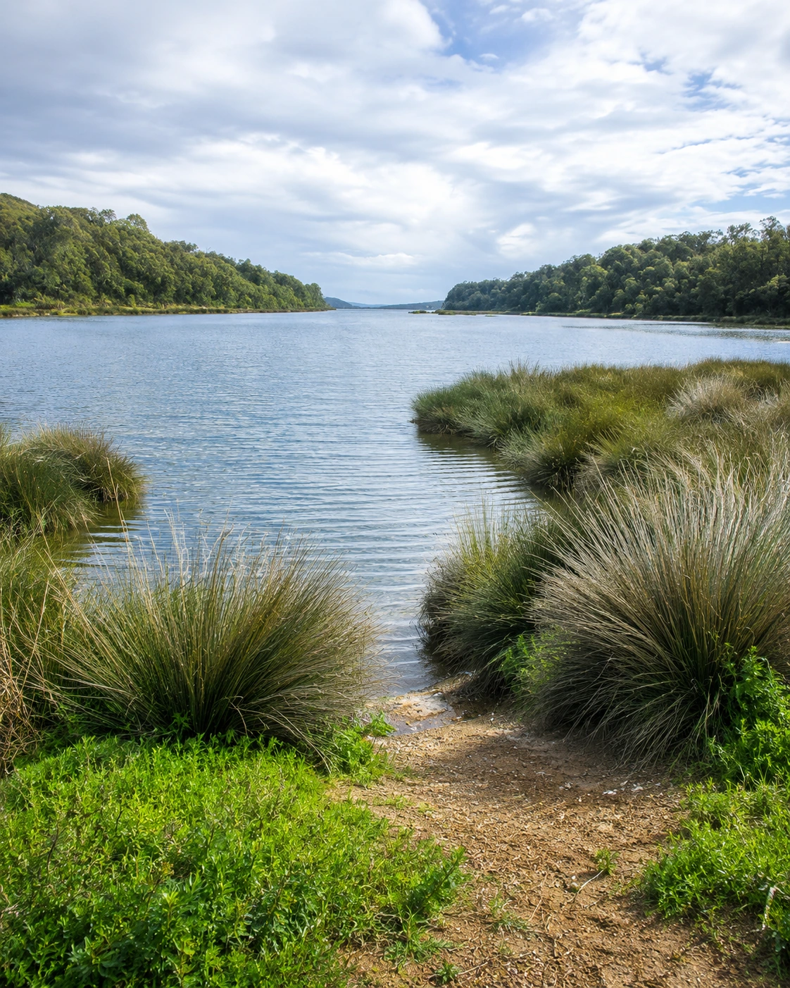 Wetland shoreline and calm water under a cloudy sky near Kenitra