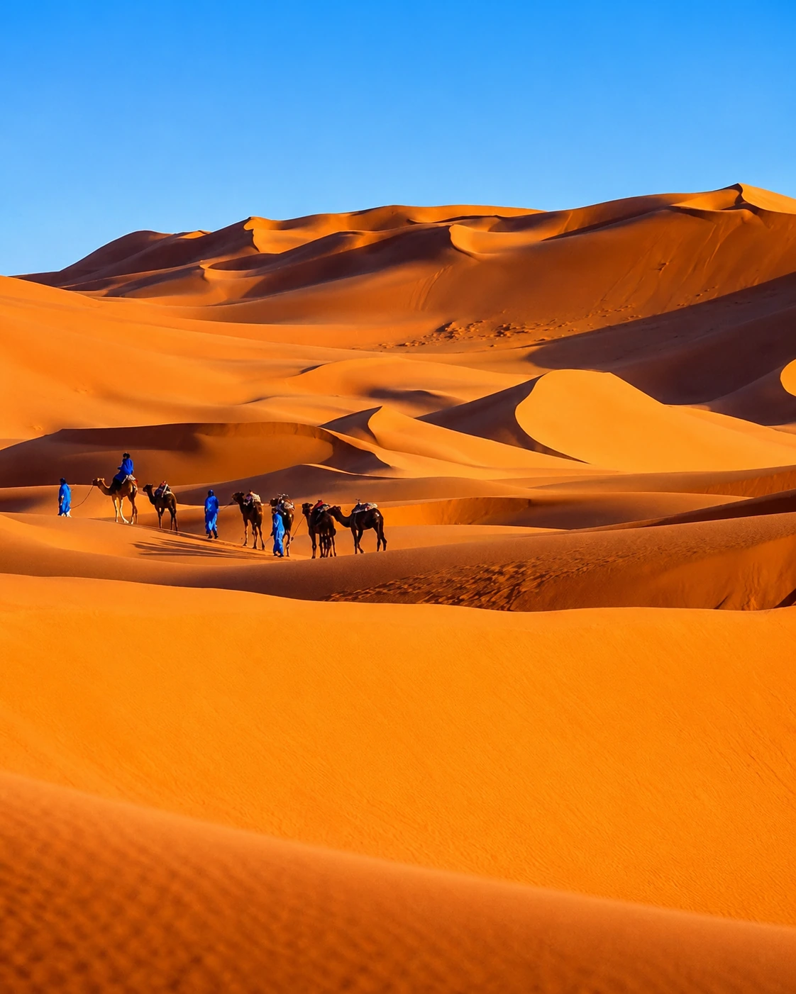 Camel caravan crossing Erg Chebbi near Merzouga