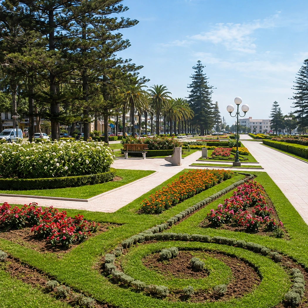Park paths and palms in Mohammedia