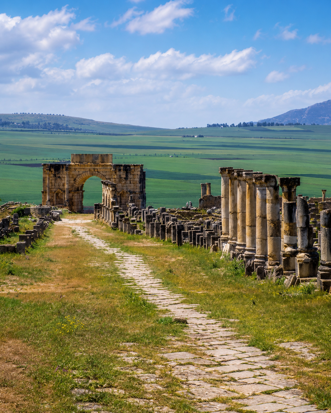 Roman road and columns across the archaeological plain at Volubilis