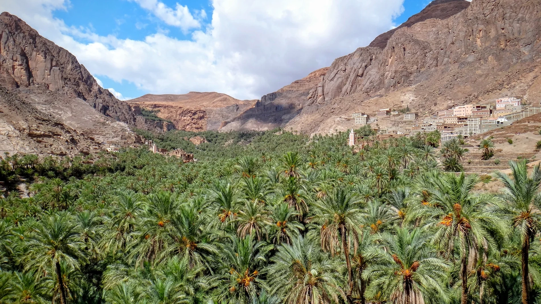 Lush oasis valley between rocky mountain walls near Ouarzazate