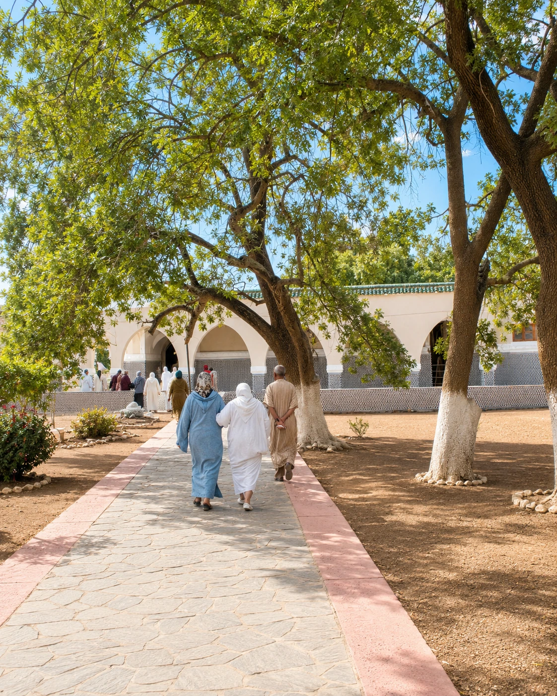 Sidi Yahya oasis palms near Oujda