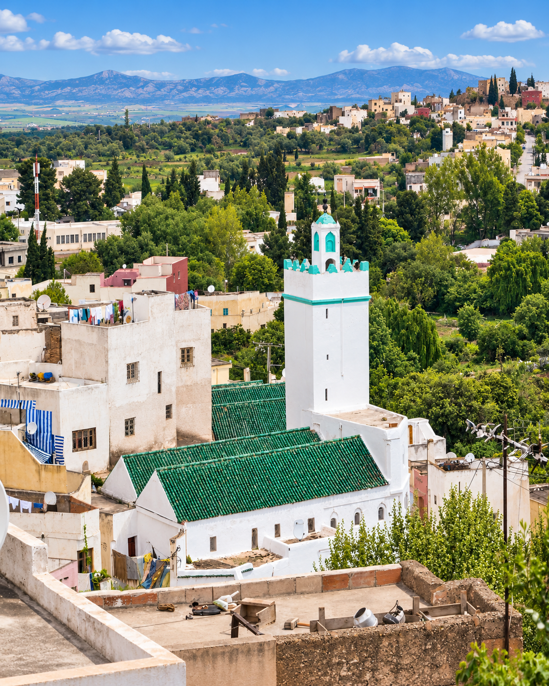 Representative city view with green-roofed mosque and foothill setting for the Sefrou city guide
