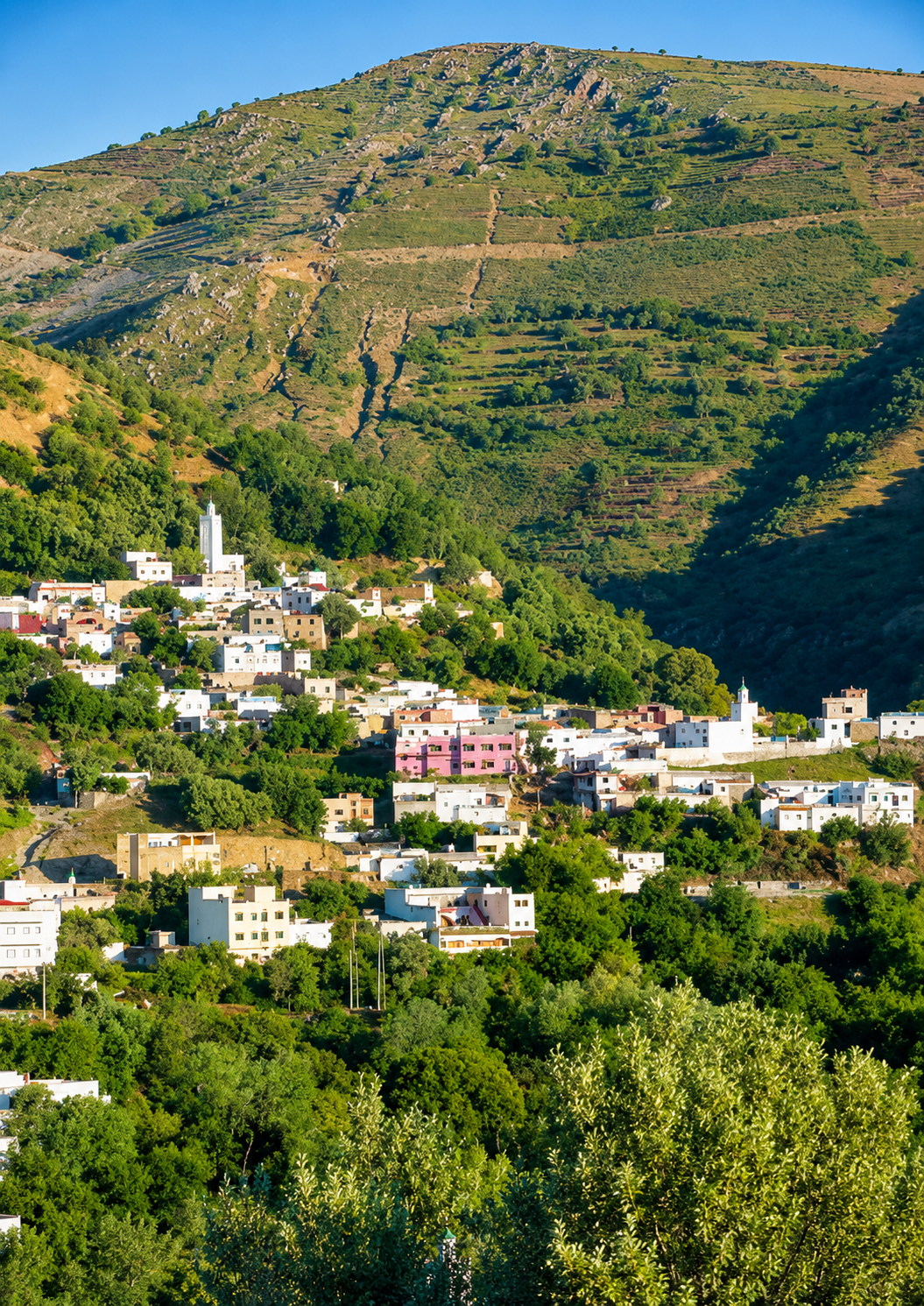 Houses and cultivated green slopes in the Taounate countryside
