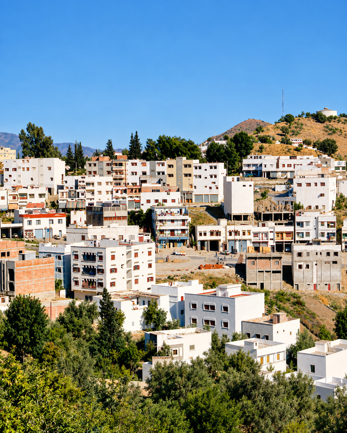 Hillside homes and trees on the edge of Taounate