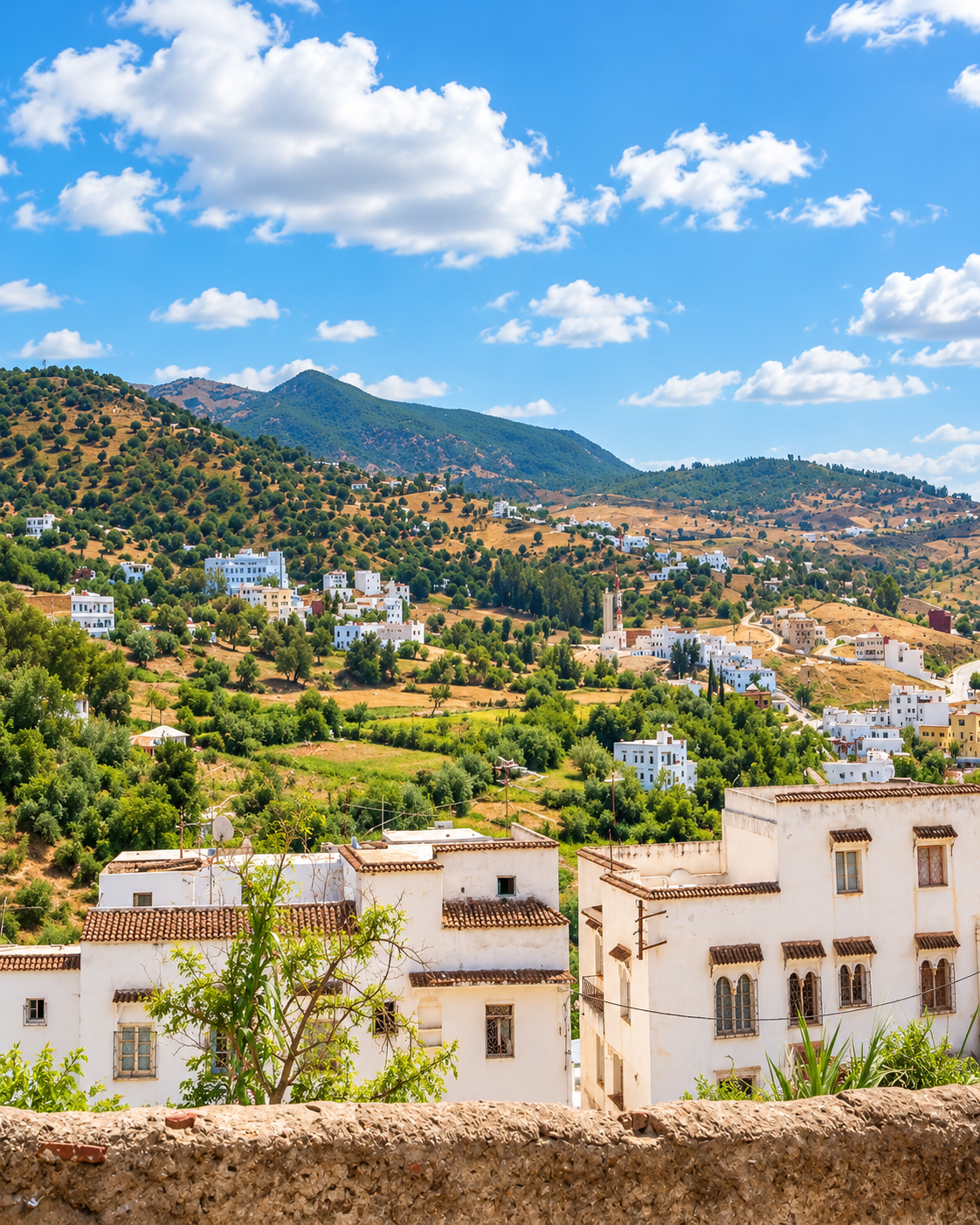 White buildings, orchards and rolling hills around Taounate
