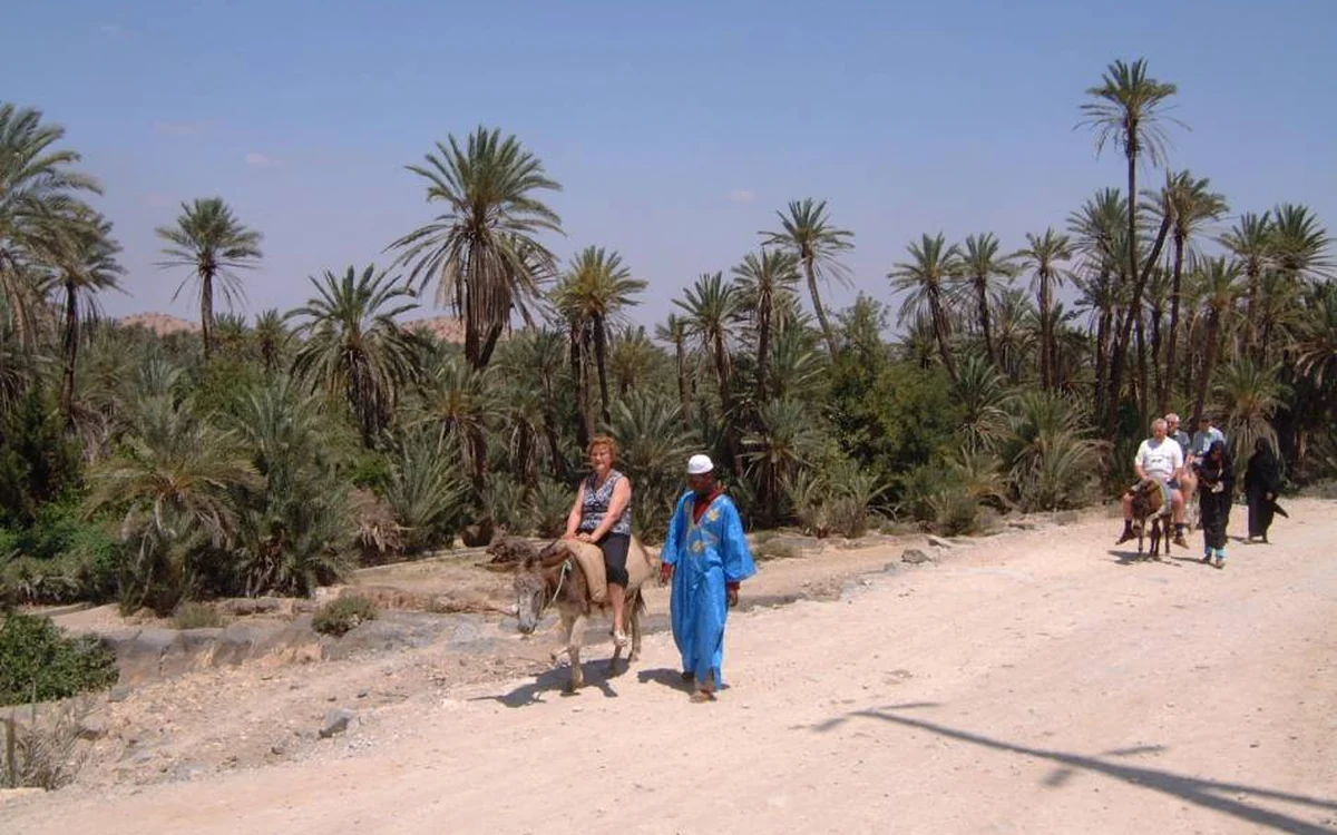 Palm grove tracks in Tiout oasis near Taroudant