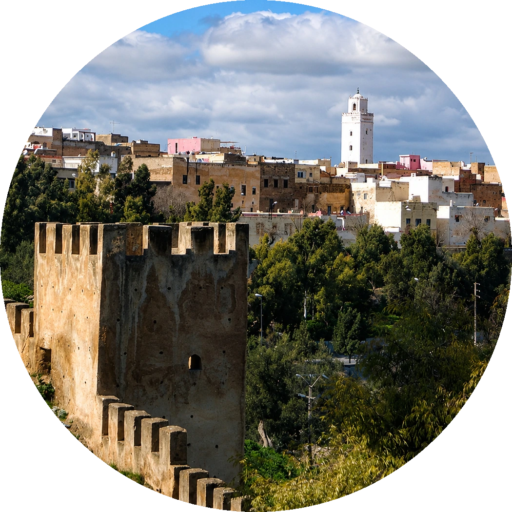Circular view of Taza fortifications, medina and mosque tower