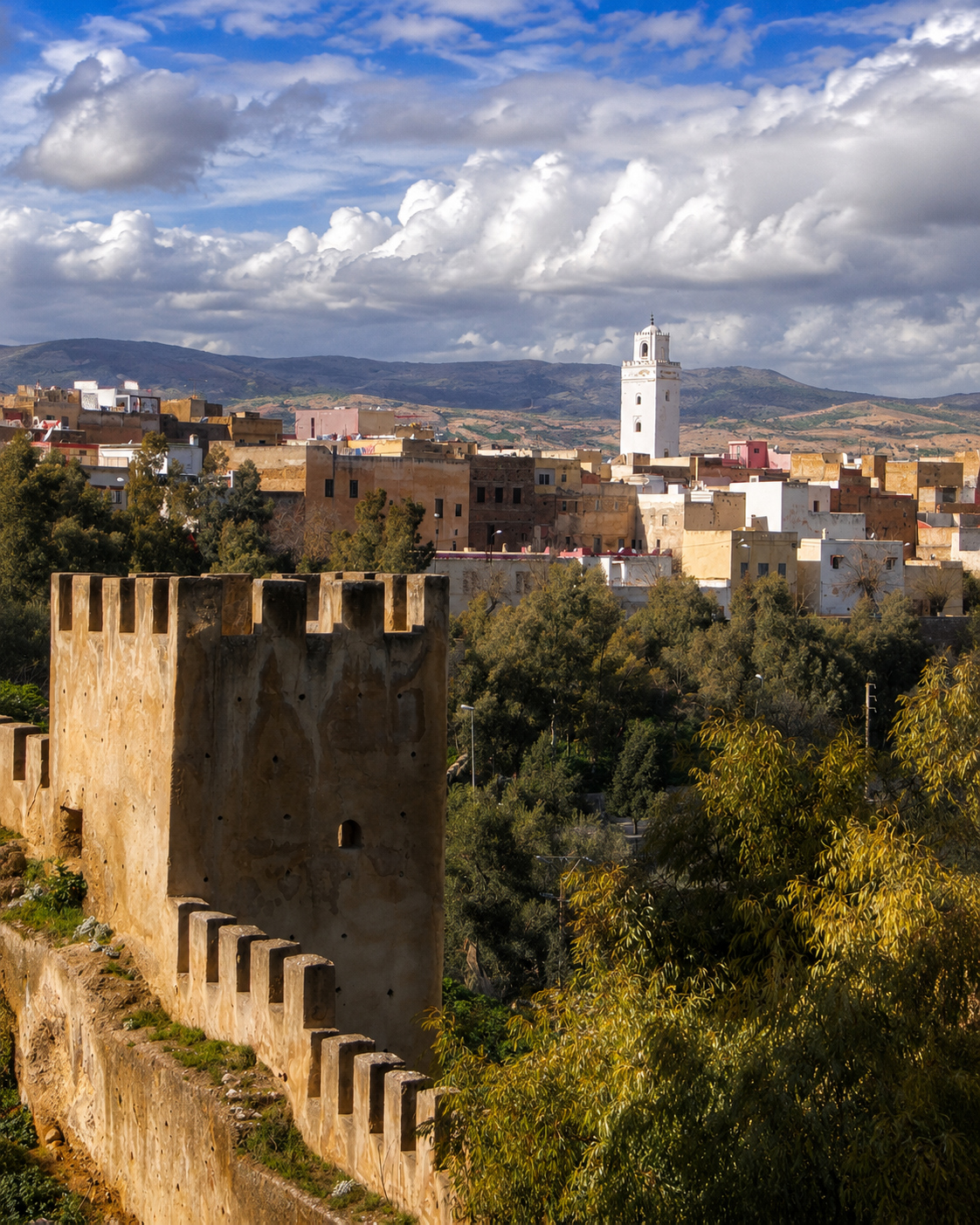 Historic fortifications and cityscape of Taza