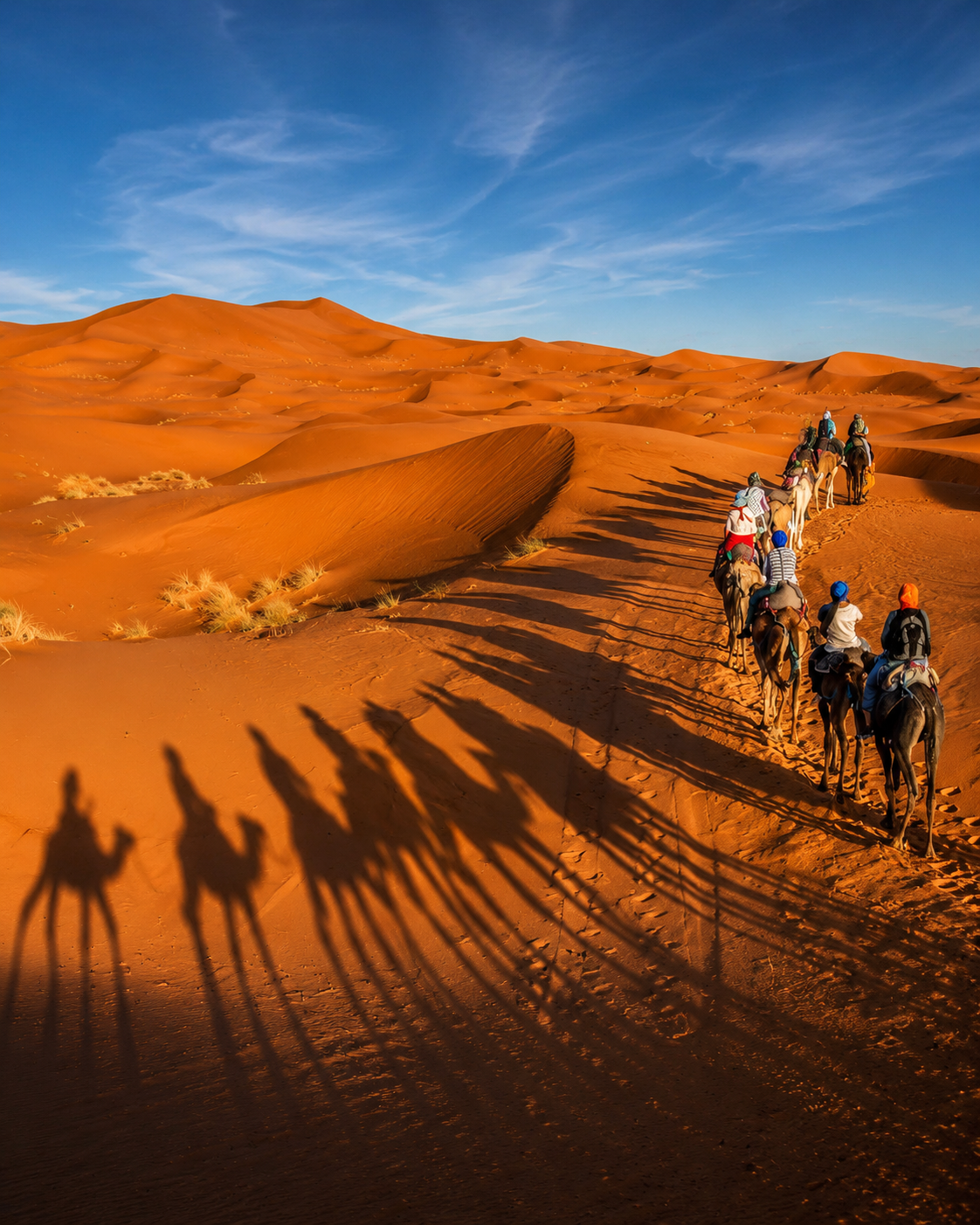 Camel caravan and long shadows across dunes near Zagora