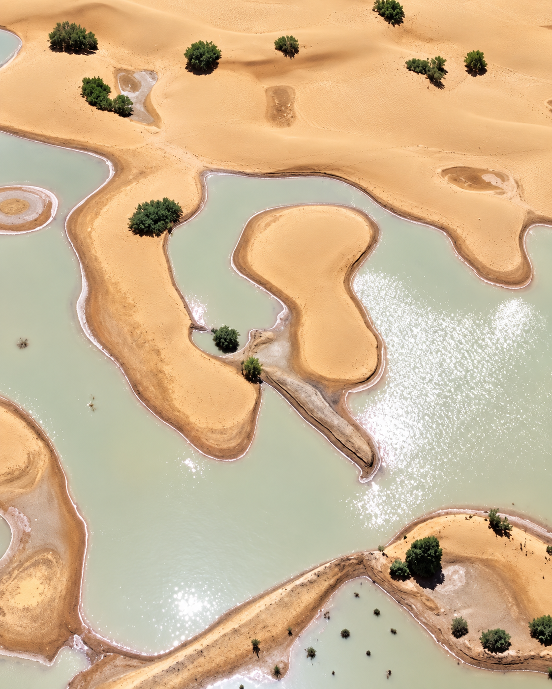 Aerial view of pale seasonal water channels and sandy lakebed forms at Iriqui Dry Lake