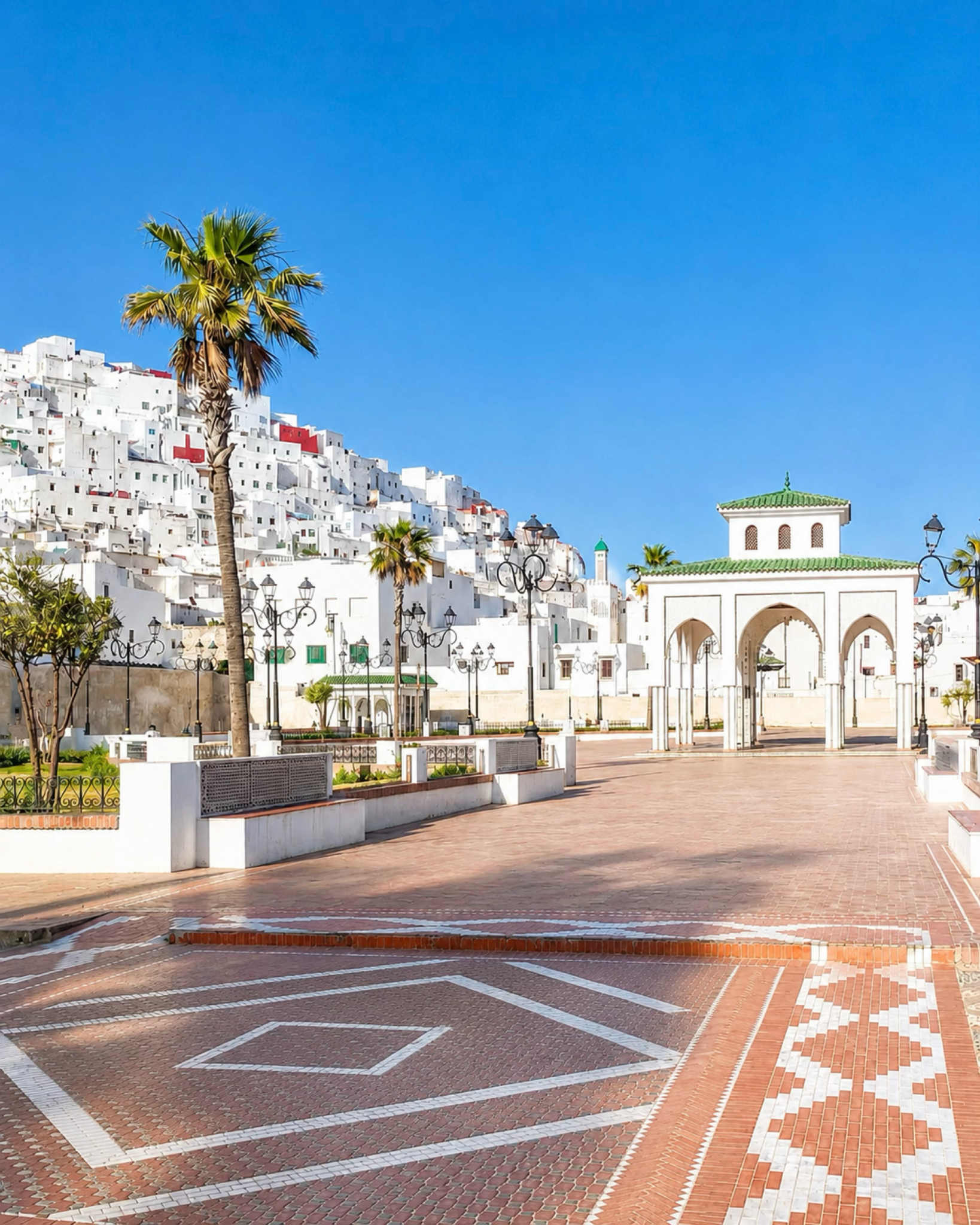 Tétouan square with white hillside houses, a palm tree and a green tiled gateway