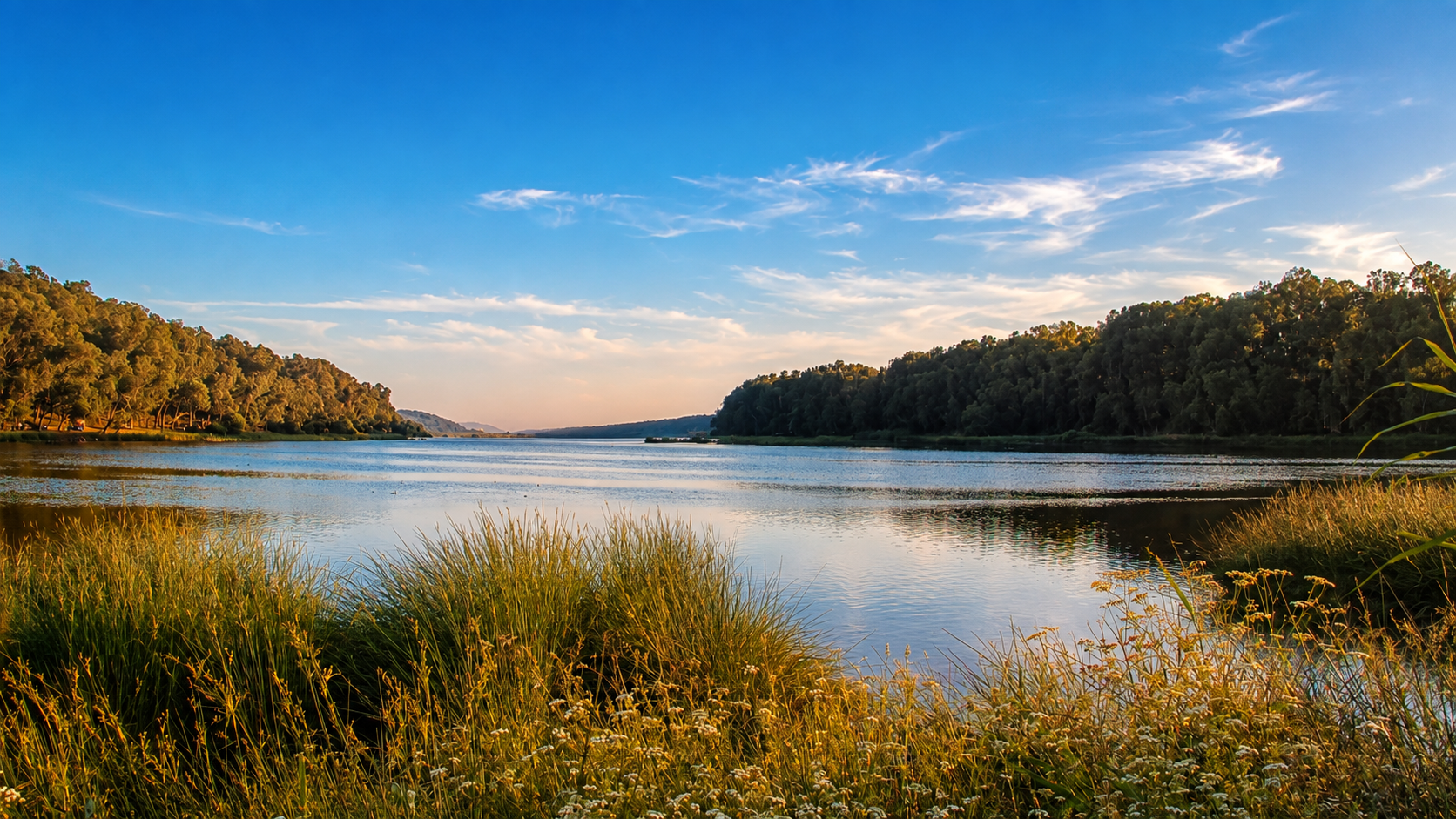 Sidi Boughaba Reserve lagoon with reeds, open water, forest edges and warm late-day light near Kenitra